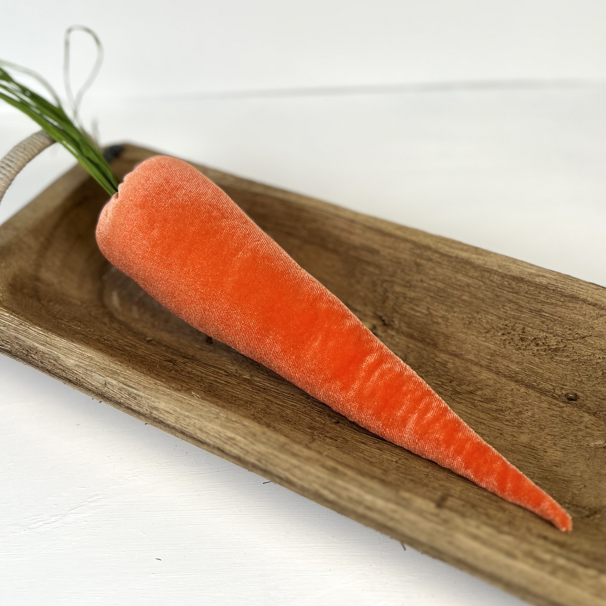 Velvet Carrots, Harvest Lush Colors, Unique Wall Hanging