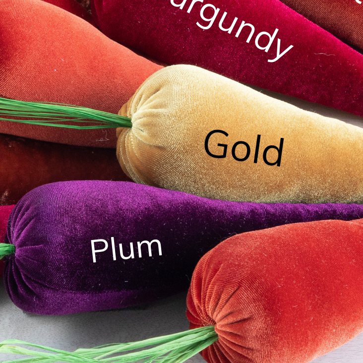 Velvet Carrots, Harvest Lush Colors, Unique Wall Hanging
