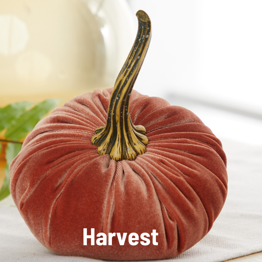 Pumpkin Large Velvet, Fall Mantel Decor, Halloween Table