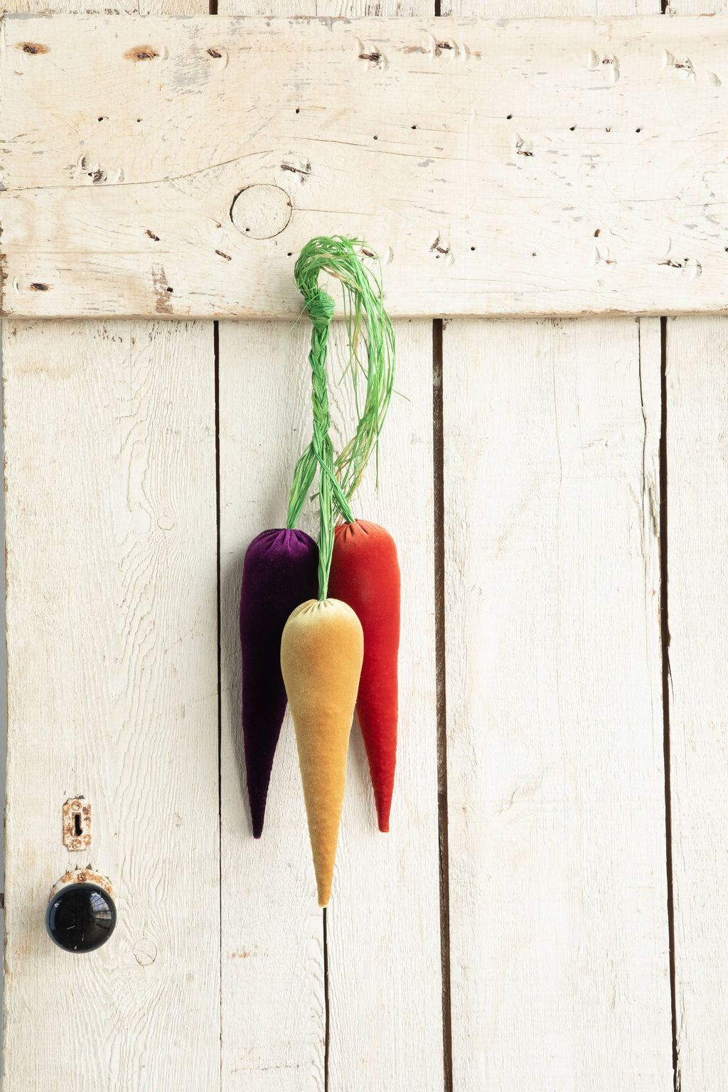 Velvet Carrots, Harvest Lush Colors, Unique Wall Hanging